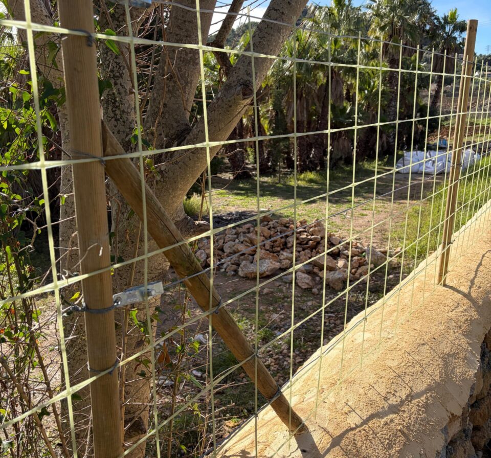 WhatsApp Image 2026-03-01 at 10.30.26 (1)